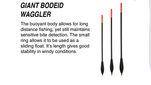 Premier giant bodied - giant,